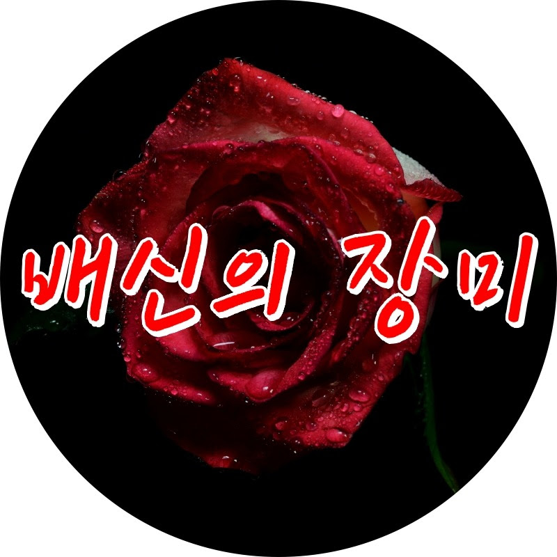 배신의 장미