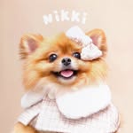Nikki | SG Pet Lifestyle & Photography