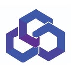BSP GROUP
