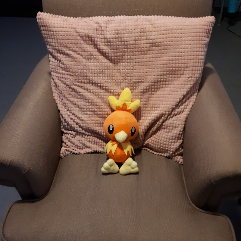 a completely normal Torchic
