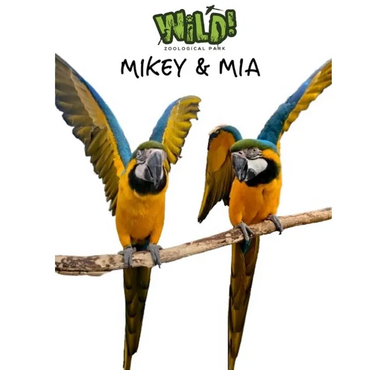 Mikey and Mia