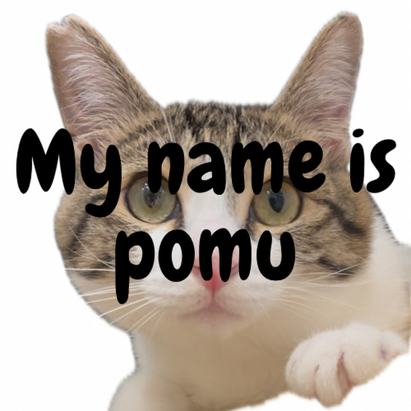 【保護猫】おろしぽんず