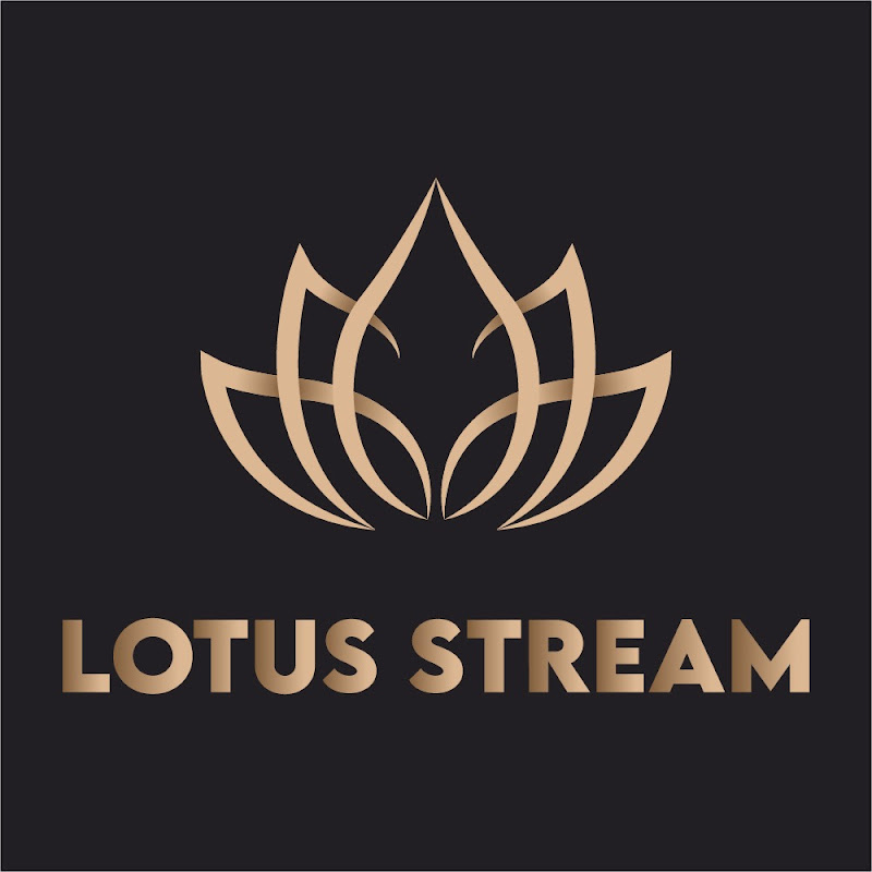 Lotus Stream - Chinese Traditional Music