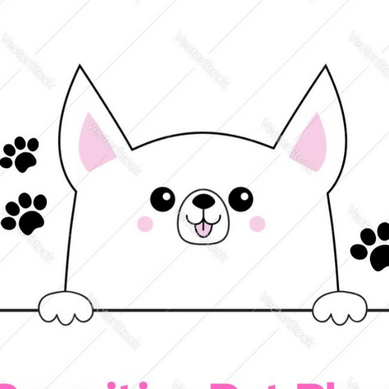 Pawsitive Pet Place