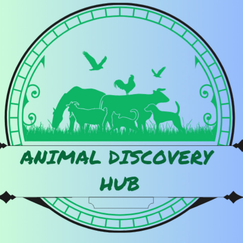 Animal Discovery Hub