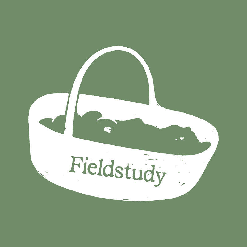 Fieldstudy