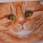 히소의 니들펠트_Hisofelt