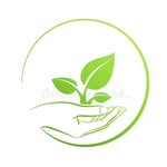 Root & Rise