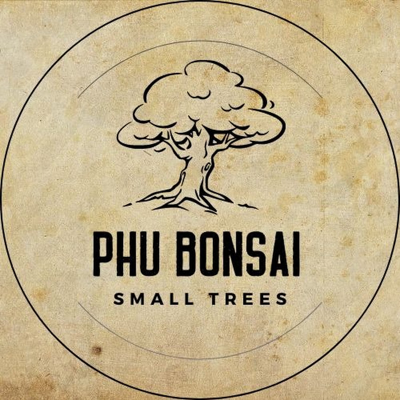 Phu Bonsai