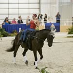 Fleur De Lis Vaulters