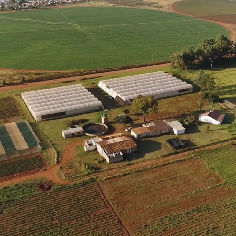 Agriculture and Young 