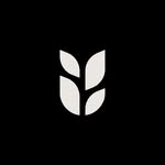 Grain
