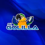MIGOLILLA / CELULARES / ROUTERS / CONSOLAS VIDEOJUEGOS / LAPTOPS