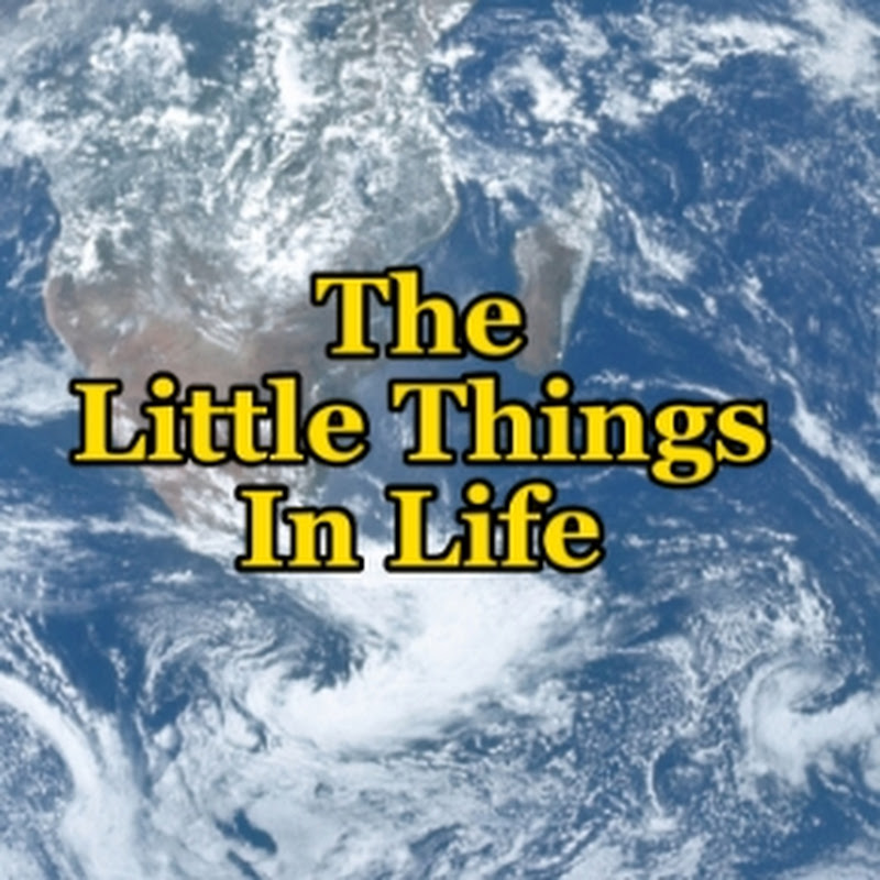 The Little Things In Life