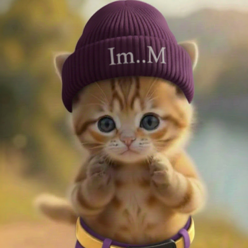 ニット帽ねこ