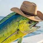 𝙋𝙝𝙪𝙠𝙚𝙩 𝙁𝙄𝙎𝙃𝙄𝙉𝙂🎣𝙔𝙤𝙪𝙧 𝙎𝙀𝘼 𝘼𝘿𝙑𝙀𝙉𝙏𝙐𝙍𝙀 🌊