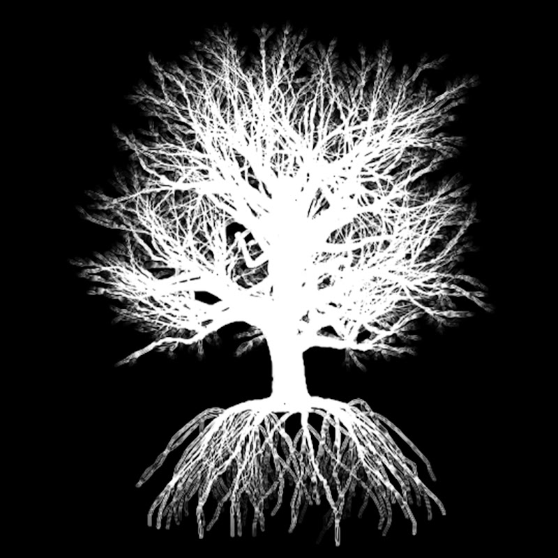 Grace Growth