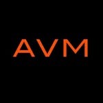 AVM Consulting Inc