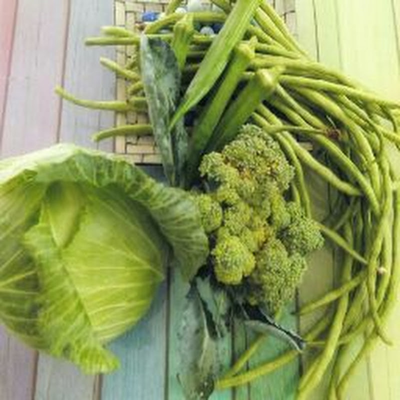PPM Organic Backyard Gardening