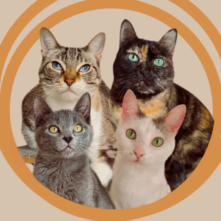 🐱La Familia Cores🐱