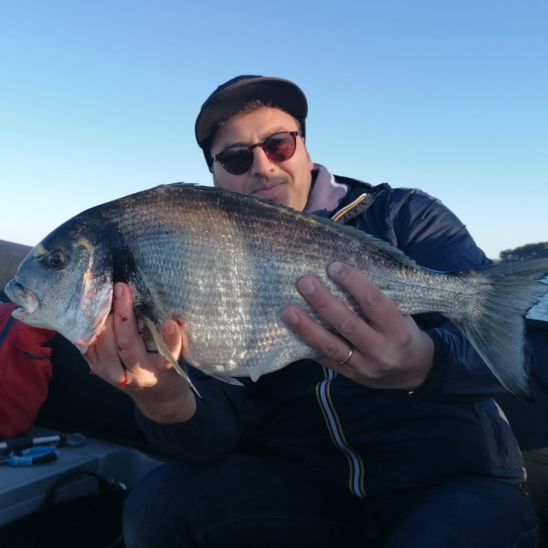 🌊 bamdi an aod 🎣