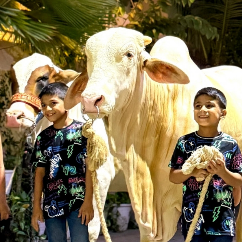 Mujtaba And Abdullah 