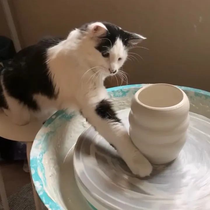Meg the Potter