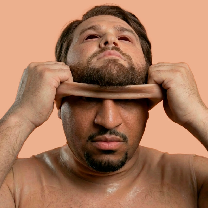 DISGUISE MASK