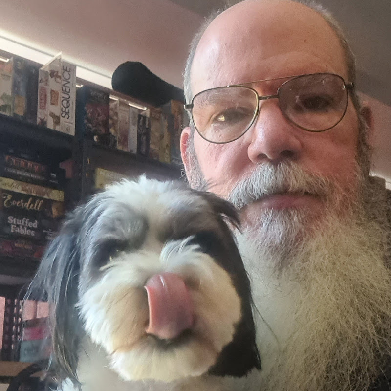 The Dusted Game Shelf