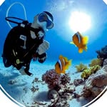 Peter Bohn • Underwater Videographer