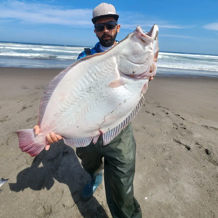 Ajota Fishing Chile