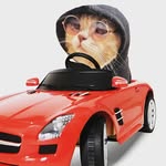 👀 Эйс Вентура 👀