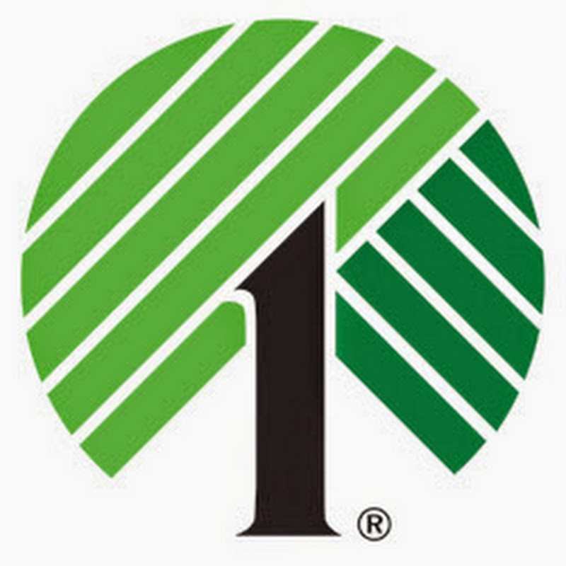 Dollar Tree