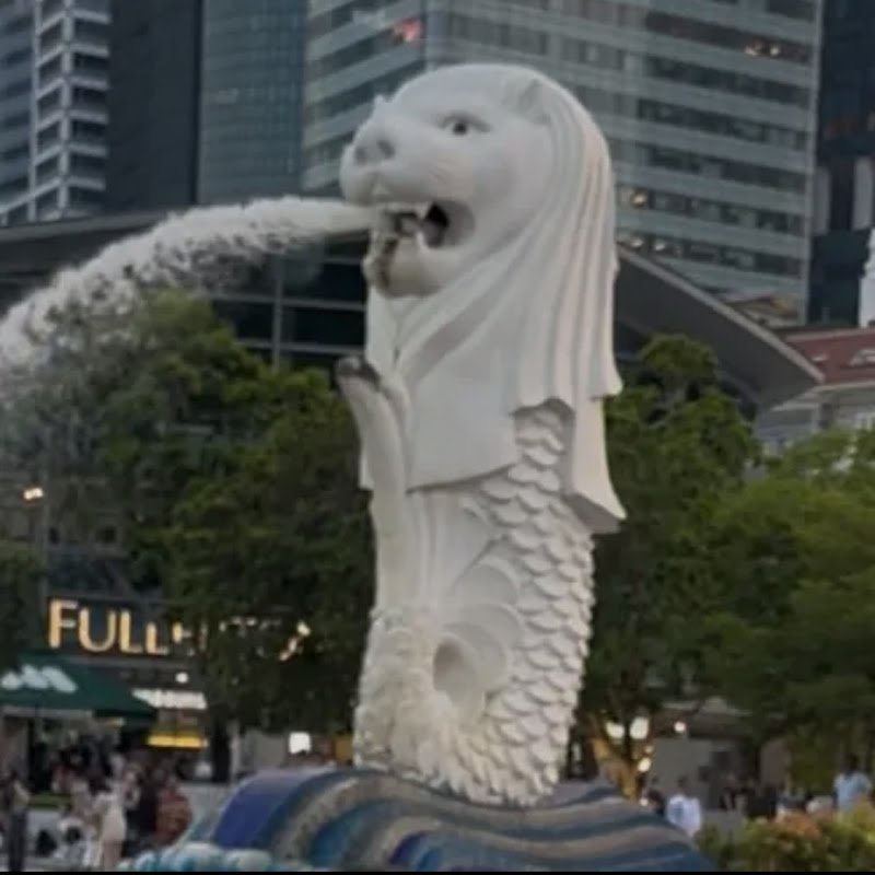 merlion113
