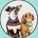 Pet Collars