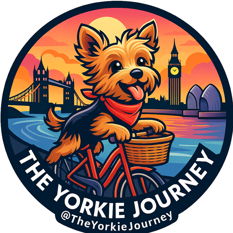 The Yorkie Journey