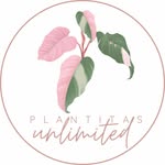 💚 Plantita's Unlimited 🪴