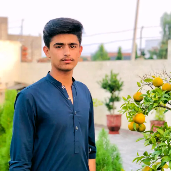 Tanawash Hussain743