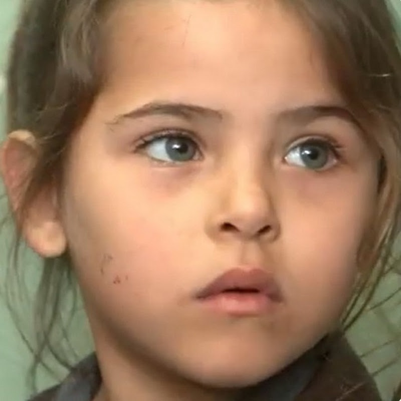 Daniela Habib