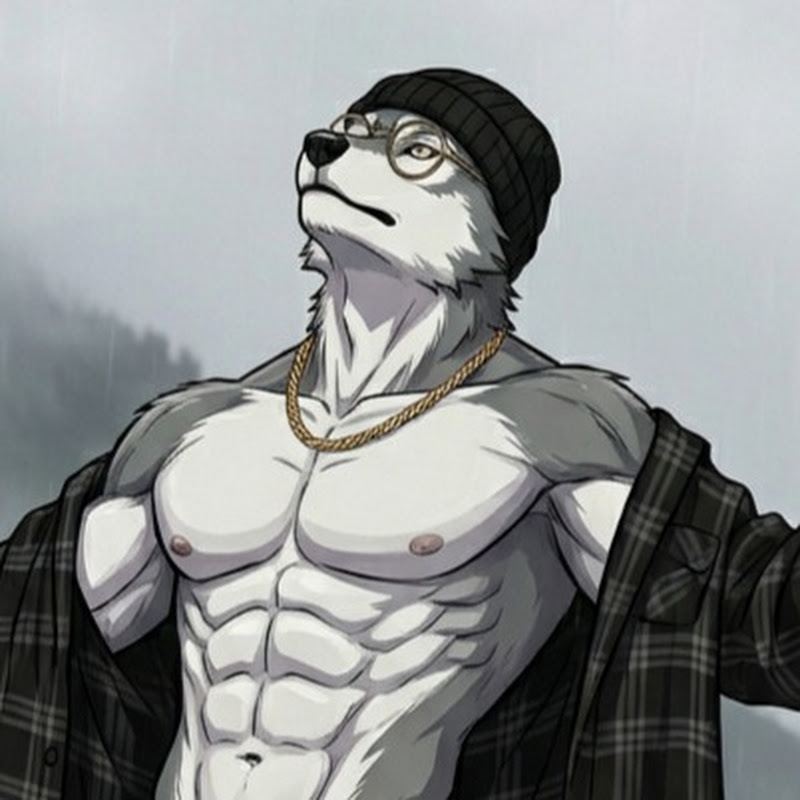 Mr Gray Wolf