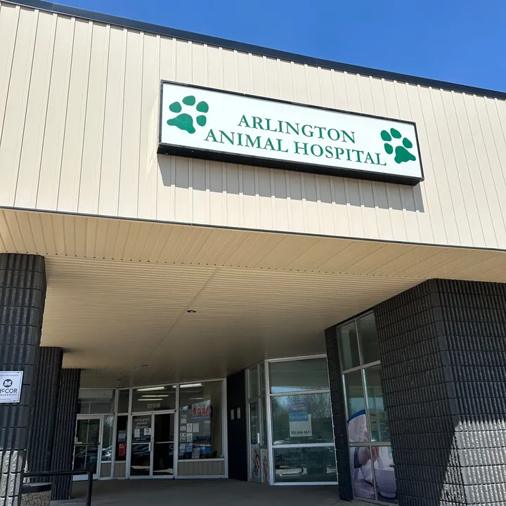 ArlingtonAnimalHospitalsk