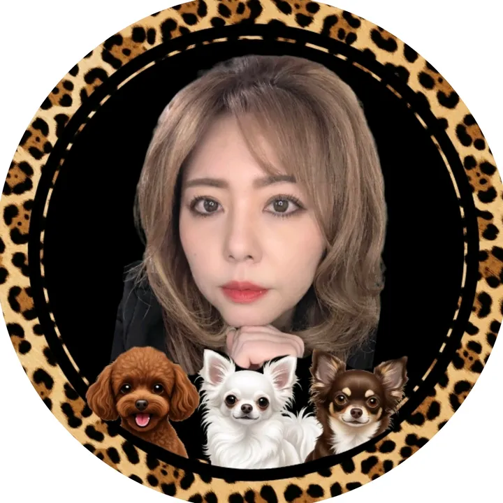 MOCAcchi🐆🖤
