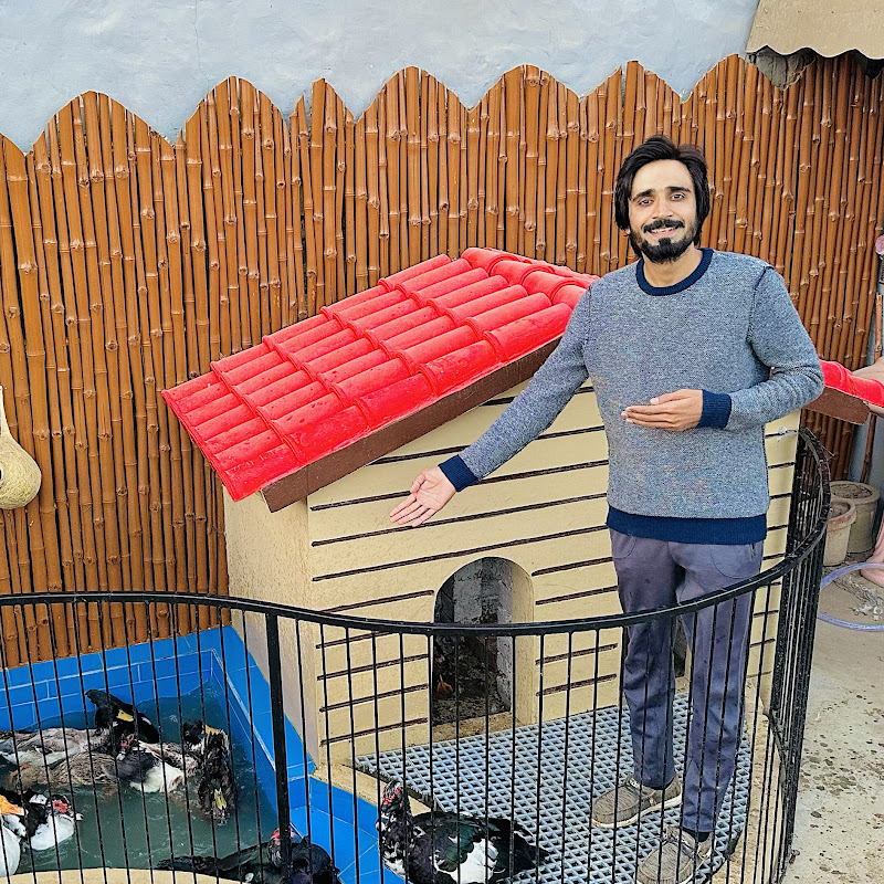 Ali Pet House