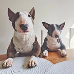Mentula & Kike
