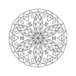 Meraki Objects
