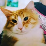 Sam😻