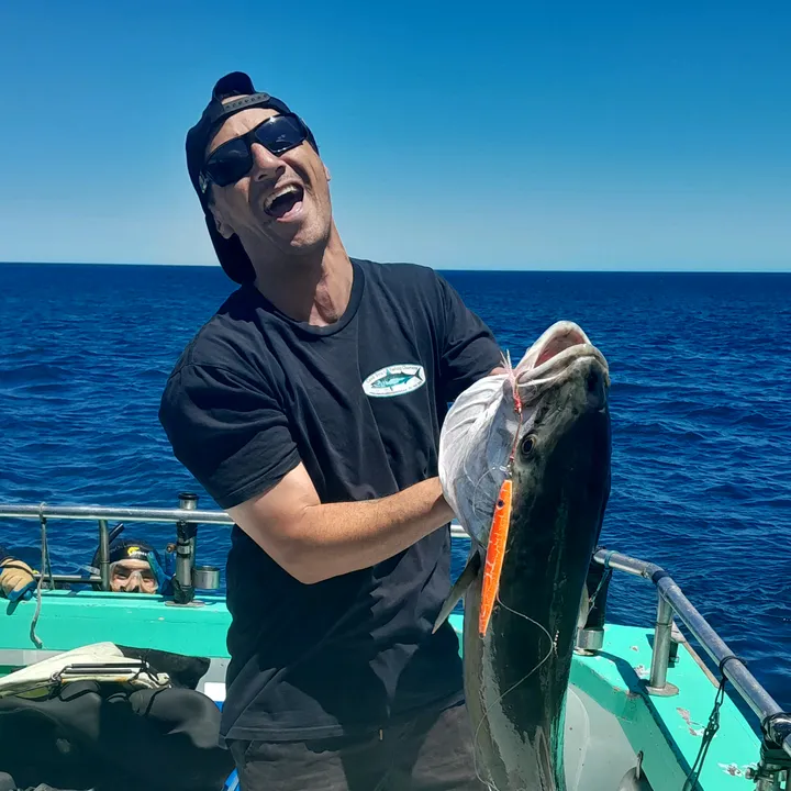 The strait adventurer