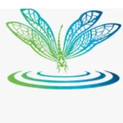 Dragonfly Leisure