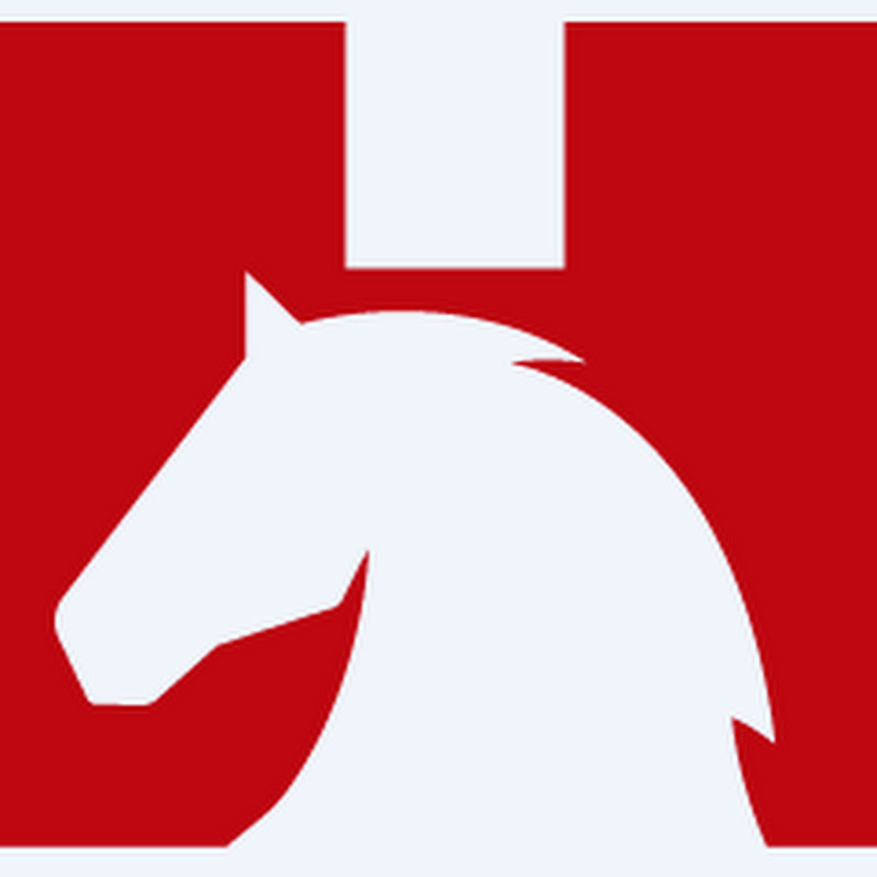 Horse Construction-Structural Strengthening System