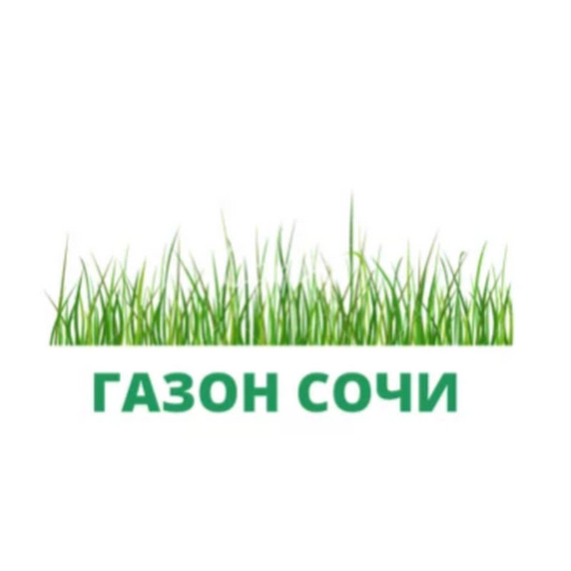 Идеи озеленения и благоустройство 